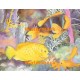 Tropical Fish With Goldfish  - #XKL6450  -  PRINT