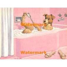 Bathing Time  - XKL6624  -  PRINT
