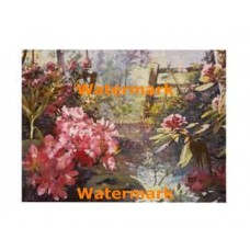 Summertime  - #XAR6796  -  PRINT