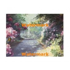 Sunlit Path  - #XAR6802  -  PRINT