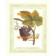 Grapevine I  - XAR6674  -  PRINT
