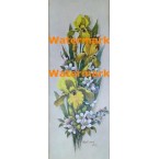 Iris in Bloom  -  #XD51319  -  PRINT