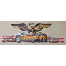 Patriotic Eagle  - #XD5478  -  PRINT