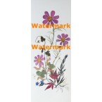 Pressed Flowers  -  #XD6507  -  PRINT