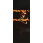 Reading  -  #XD6948  -  PRINT