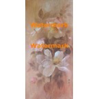 Dragonfly  -  #XBFL1559  -  PRINT