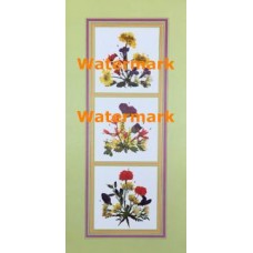 Pressed Flowers  -  #XKG1298  -  PRINT