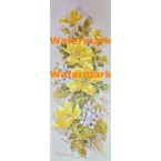 Yellow Focus  -  #XS121  -  PRINT