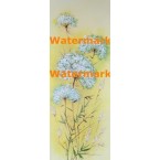 Flower  -  #XS2230  -  PRINT