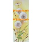 Dandelion  -  #XS2232  -  PRINT