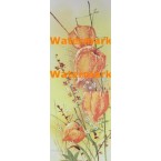 Chinese Lanterns  -  #XS2233  -  PRINT