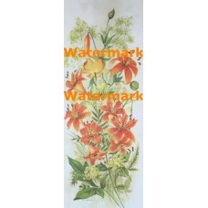 Tiger Lilies  -  #XS2350  -  PRINT