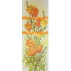 Tulips  -  #XS2351  -  PRINT