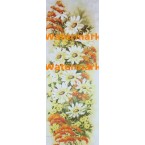Daisies  -  #XS2352  -  PRINT