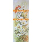 Dogwood  -  #XS2353  -  PRINT