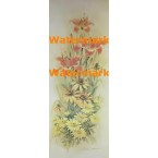 Flowers in Meadow  -  #XS2702  -  PRINT