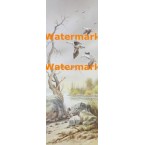 Lagoon  -  #XS2995  -  PRINT