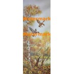 Golden View  -  #XS2997  -  PRINT