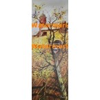 A Raccoon's Hideout  -  #XS3000  -  PRINT