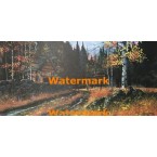 Autumn Days  -  #XBSC1633  -  PRINT