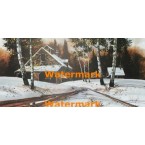 First Snow  -  XBSC1635  -  PRINT