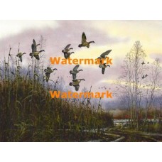 The Call of Winter  - XD11081  -  PRINT 