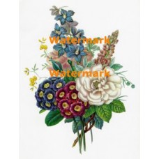 Flower Bouquet  - XD251  -  PRINT