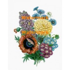 Flower Bouquet  - XD253  -  PRINT