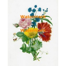Flower Bouquet  - XD255  -  PRINT