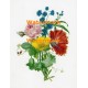 Flower Bouquet  - XD255  -  PRINT