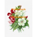 Flowers  - XD2870  -  PRINT