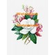 Magnolia & Dogwood  - XD2873  -  PRINT