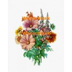 Flower Bouquet  - XD615  -  PRINT