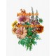 Flower Bouquet  - XD615  -  PRINT