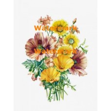 Flower Bouquet  - XD616  -  PRINT