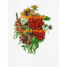 Flower Bouquet  - XD617  -  PRINT