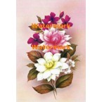 Delicate Pinks  - XD8109  -  PRINT