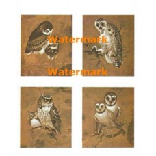 Owls  - XBAN336  -  PRINT 4 Designs