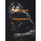 Cat  - XBAN649  -  PRINT
