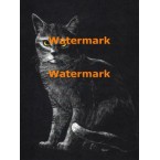 Cat  - XBAN651  -  PRINT