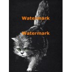 Cat  - XBAN652  -  PRINT