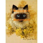 Cat  - XBAN927  -  PRINT