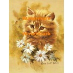 Cat  - XBAN929  -  PRINT