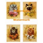 Cats  - XBAN935  -  PRINT