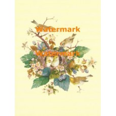 Bird Family  - XBBI-601  -  PRINT