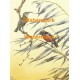 Birds  - XBBI-678  -  PRINT