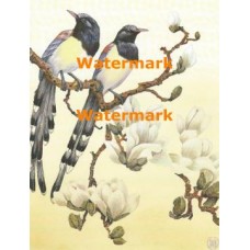 Birds & Flowering Branch  - XBBI-680  -  PRINT