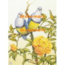 Birds  - XBBI-681  -  PRINT