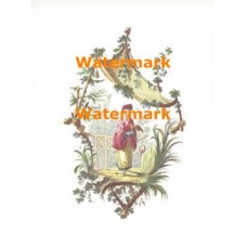 Birds  - XBCH10  -  PRINT