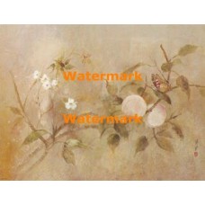 Butterfly & Fruit  - XBCH178  -  PRINT
